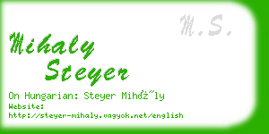 mihaly steyer business card